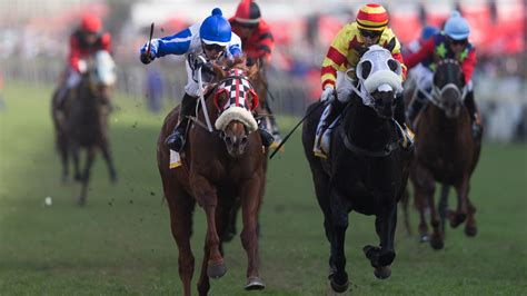 durban july betting sites|Durban July 2023 Preview and Betting Tips.